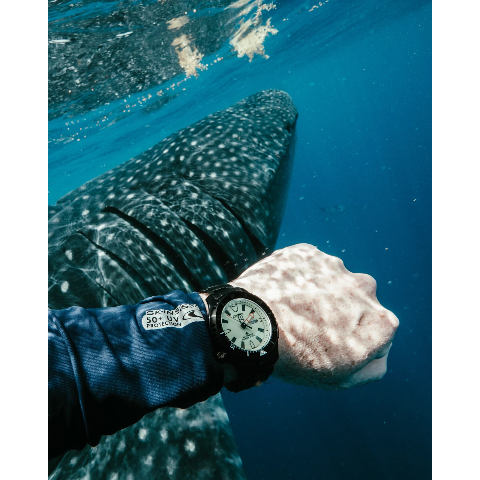Reloj Citizen Promaster Dive Automatic NY0155-58X | Elegancia relojería